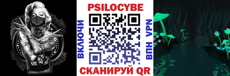 где купить   блэк спрут как зайти  Псилоцибиновые грибы Psilocybe  Семикаракорск 